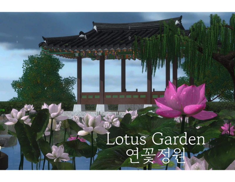 Lotus Garden